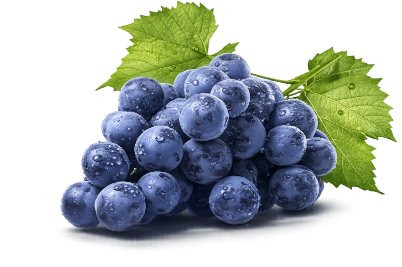 Vitis Vinifera (Grape) Leaf Extract